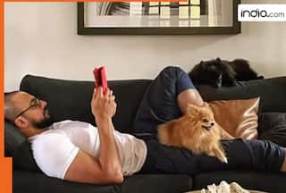 Meet actor, who divorced his wife due to dogs, rumoured to be dating 13-year-younger actress, his name is..., last film was...