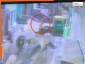 india.com top news