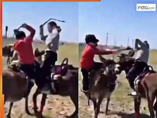 Ladai Ka Video: गधे पर सवार होकर युद्ध लड़ने आए दो लड़के, मगर जो दिखा बस हंसते चले जाएंगे | देखें वीडियो