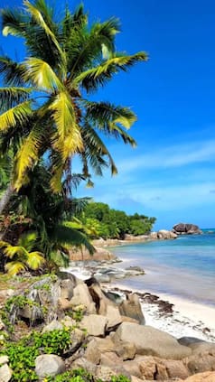 9 Untouched Beaches In South India With Crystal Clear Water