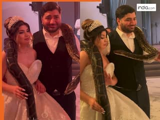 Azgar Ka Video: गले में अजगर लपेटकर फोटो खिंचवाने लगा कपल, तभी जो हुआ पैरों तले जमीन खिसक गई | देखें वीडियो