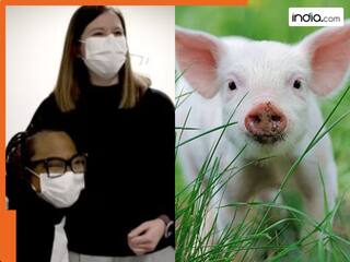 महिला ने रचा इतिहास! सुअर की किडनी से मिली नई जिंदगी, फिर अचानक जो हुआ जानकर चौंक गए डॉक्टर