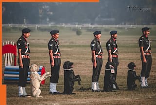From Pahalgam to Katra: How India's Military Dogs Are Keeping the Nation Safe Amid Rising Terrorist Threats