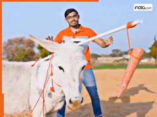 Funny Video Today: गधे के बेवकूफ समझने की गलती कर गया लड़का, खुद ही बन गया हंसी का पात्र | देखें वीडियो