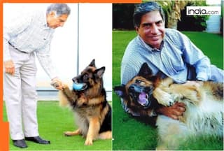 Ratan Tata will: You won't believe what former Tata Group boss left for his pet Tito