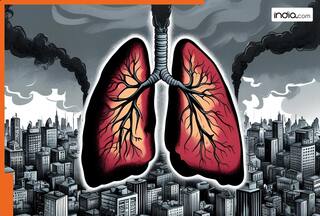 फेफड़ों में जमे कचरे को बाहर निकाल सकते हैं ये 4 फल, आज ही करें अपनी डाइट में शामिल