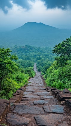 india.com webstories