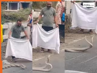 Naag Nagin Love Video: प्रेम करते हुए कैमरे में कैद हुए नाग-नागिन, तभी जो हुआ शायद ही देखा हो | देखें वीडियो