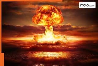 Not Humans but cockroaches will rule over Pakistan if nuclear bomb drops, study says cockroaches can survive without head for...