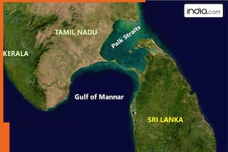 india.com top news