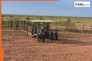 Bigger than 49 countries, world's biggest farm is managed by only... not located in India, Brazil, China, US, Russia, Canada, Europe, it is in ...