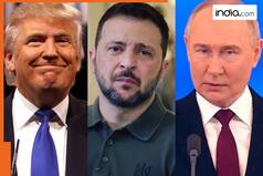 'Partition of Ukraine into two parts like India and Germany'; Trump's offer to Putin suggests..., 29 km wide demilitarized zone ...