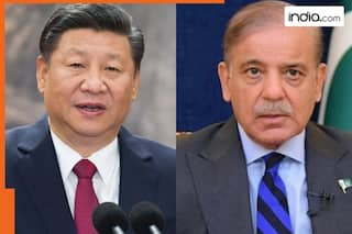 Amid global outrage over Pahalgam terror attack, China makes shocking statement, vows support to protect Pakistan's...