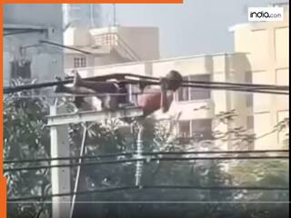 वायरल होने की सनक में मौत से खेल गया शख्स! बिजली के तारों पर किया खतरनाक वर्कआउट | देखें Video