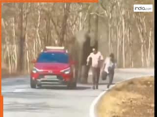 india.com top news