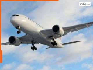 अमेरिकी नागरिक ने चाकू के दम पर किया विमान का अपहरण, फ्लाइट में हाईजैकर को मारा