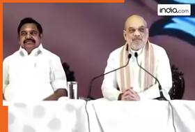 india.com top news