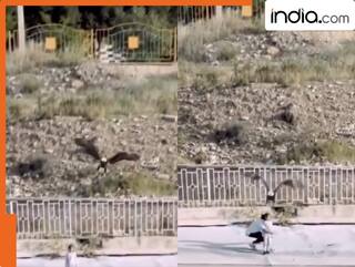 बस कुछ सेकेंड देर होती तो चील मासूम बच्ची को उठा ले जाती! ऐसे बची जान, Viral Video देख उड़ जाएंगे होश