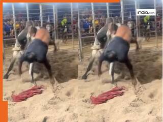 Viral Stunt Video: हीरो बनने के चक्कर में शख्स ने ले लिया सांड से पंगा, फिर अगले पल जो हुआ वो जीवनभर नहीं भूलेगा लड़का | देखें वीडियो