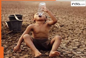 india.com top news