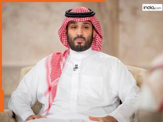 सऊदी अरब ने भारत-पाकिस्तान समेत 14 देशों पर लगाया वीजा बैन, क्राउन प्रिंस ने क्यों लिया ऐसा फैसला?