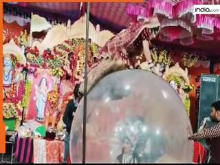 Dulhan Ka Video: फंक्शन में बड़े बैलून पर सवार होना चाहती थी दुल्हन, मगर अगले ही सेकेंड उड़ गई खिल्ली | देखें वीडियो
