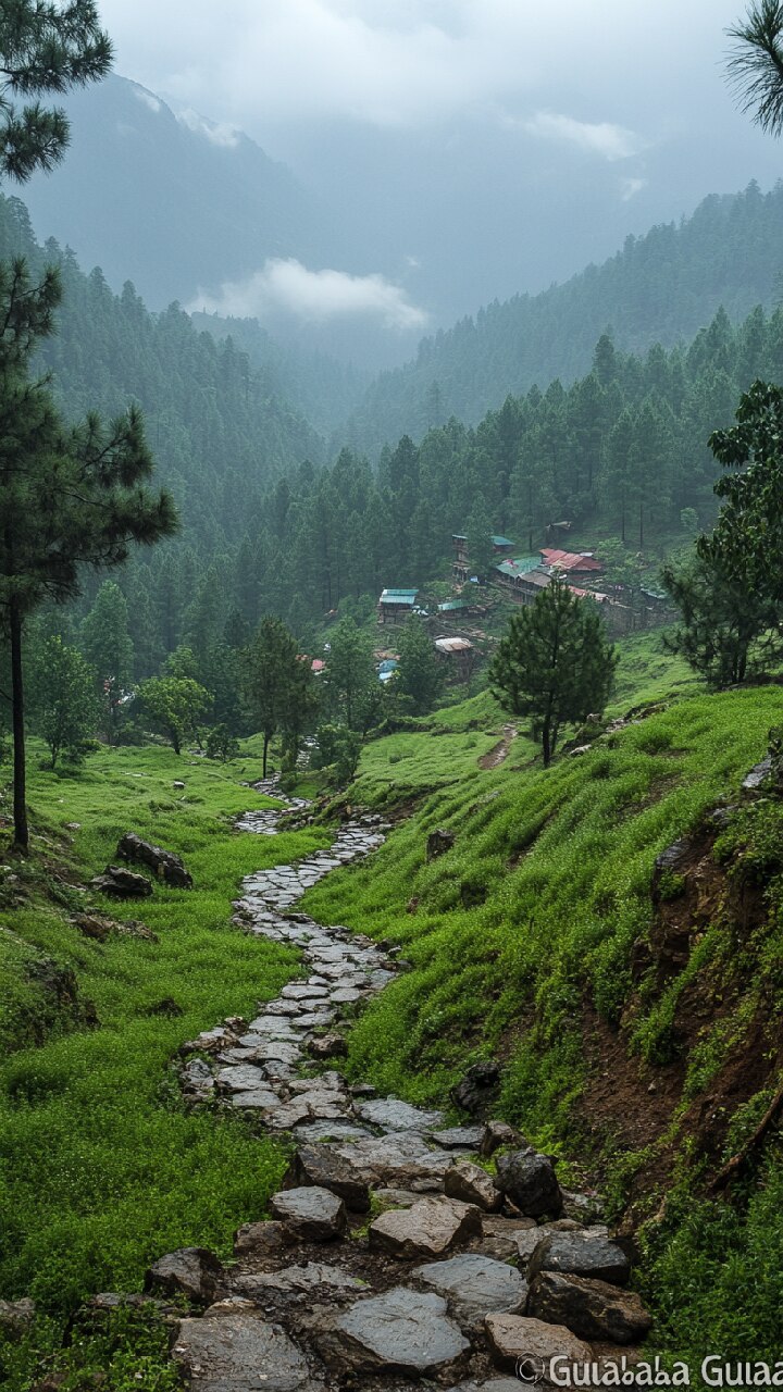 शिमला-मनाली नहीं, गुलाबा घूमों यार; दिल खुश न हुआ तो कह देना