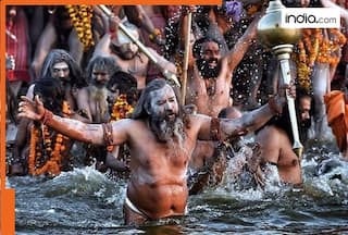 As Mahakumbh 2025 ends, when will Kalki, the 10th avatar of Lord Vishnu, finally arrive? Here's the answer
