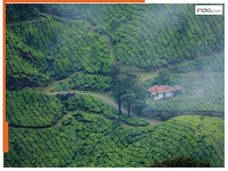 IRCTC ने पेश किया केरल टूर पैकेज, 4 दिन में घूमिये ये जगहें; किराया और डिटेल जानिये