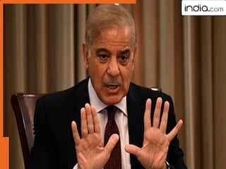 पहलगाम टेरर अटैक: दुनिया ने कहा 'आतंकी हमला', पाकिस्तान ने निंदा से भी किया परहेज, पढ़िए पहलगाम अटैक पर शरीफ सरकार की प्रतिक्रिया