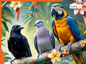 india.com top news