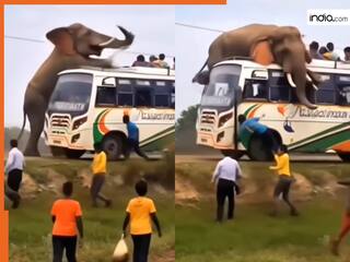 Hathi Ka Video: हाथी ने चलती बस पर कर दिया अटैक, फिर जो दिखा यकीन नहीं होगा | देखें वीडियो