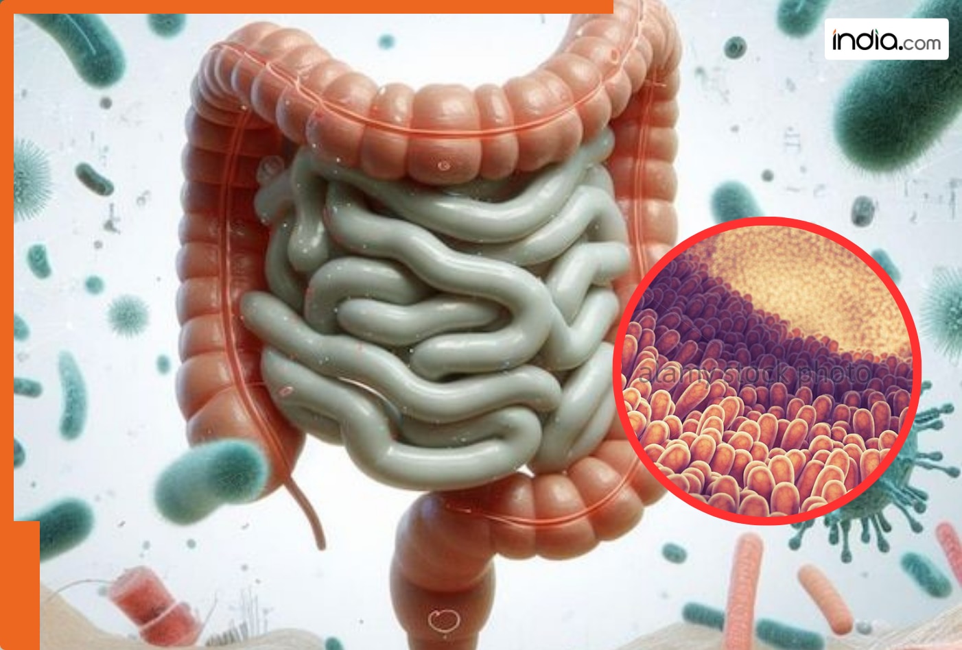 इस विटामिन की कमी, कमजोर कर देती हैं आंतें! बड़ा मुश्किल हो जाता है खाना पचाना