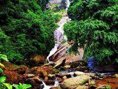 7 Best Birdwatching Spots Near Coimbatore For Nature Lovers