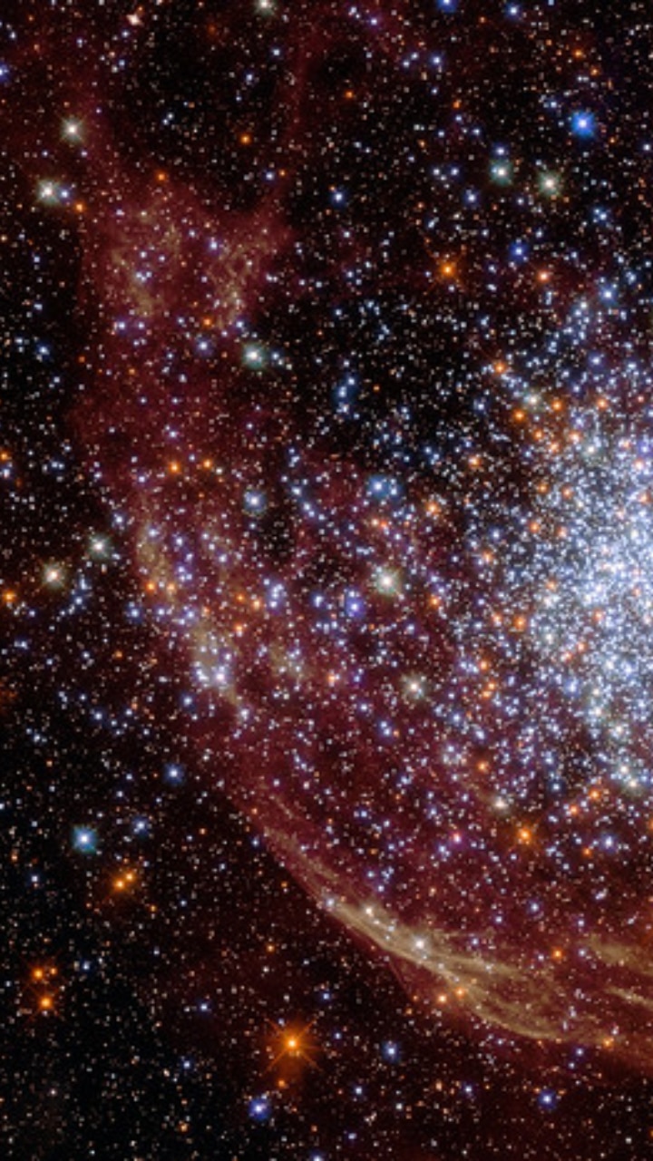 7 most stunning images of NASA Star clusters shared by NASA