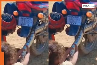 Ajgar Ka Video: बाइक के टायर में फंस गया विशालकाय अजगर, हाथ से खींचकर बाहर निकालने लगा शख्स...फिर जो हुआ खुद देखिए