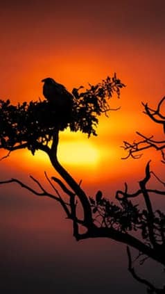 Best Time To Visit India – Month-By-Month Travel Guide