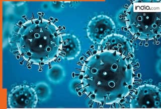 Coronavirus Big Update! After India, China, new COVID variant spreads in US, international travelers will now have to..., health officials to...