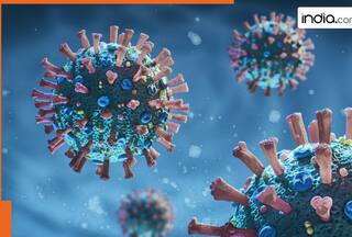 COVID-19 resurgence in Singapore, Thailand, Hong Kong: Things you must know about JN.1 variant