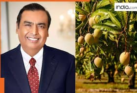india.com top news