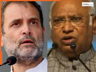 Bihar Assembly Election: Congress appoints Gehlot, Baghel, Adhir Chowdhury as senior observers