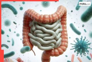 आंतों को डीप क्लीन करता है ये सुपरफूड! इस तरह से करें अपनी डाइट में शामिल