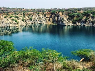 Exploring The 7 Mystical Forests Surrounding Delhi NCR