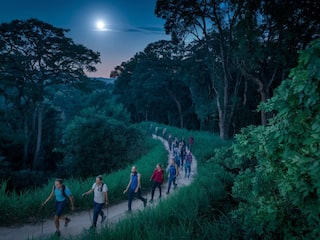 How To Plan A Night Trek In The Forests Near Bengaluru City?