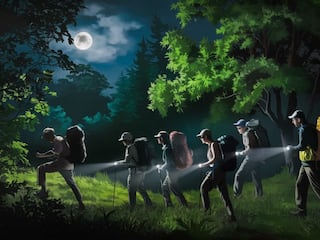 How To Plan A Night Trek In The Forests Near Delhi NCR?