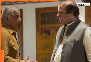 India-Pakistan tensions: Nawaz Sharif steps in to help brother Shehbaz as pressure mounts, advises him to...