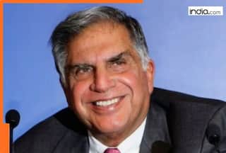 Months after Ratan Tata's death, THIS Tata Group firm achieves major milestone, joins elite list of world's...