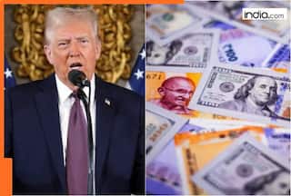Bad news for Indians in US as Donald Trump..., India could lose Rs 1540811700000 per year due to...