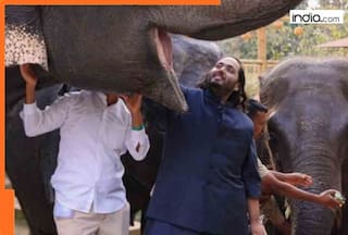 7 Myths about Vantara the SIT BUSTED after SC's clean chit to Anant Ambani's wildlife rescue centre