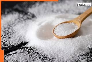 india.com top news